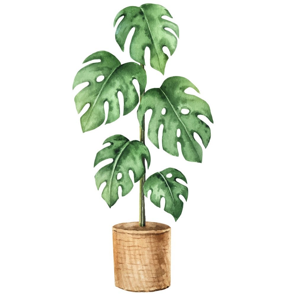 monstera plant fabric Indoor Green Plants Monstera Fabric Panel 36 Inches by 36 Inches