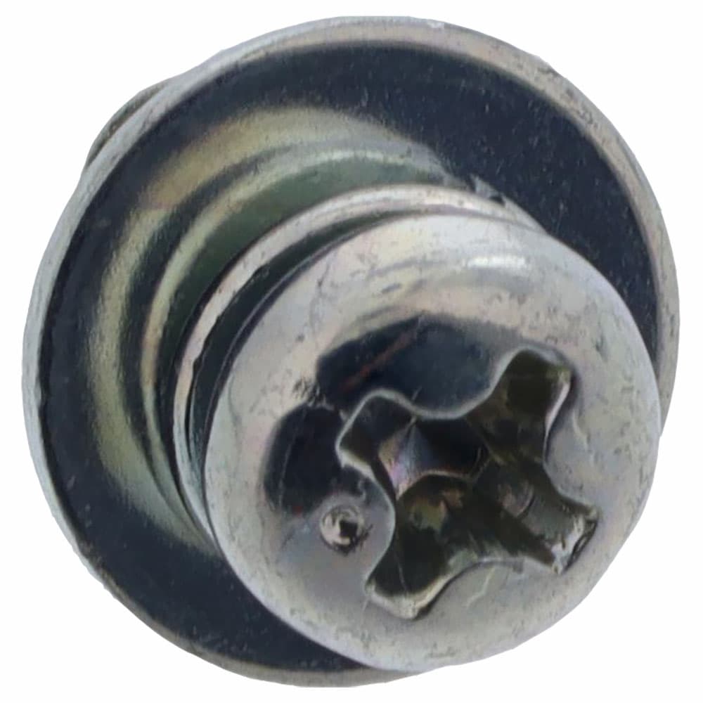 Screw Pan Washer (M4X10), Brother #0A5401006 image # 114283