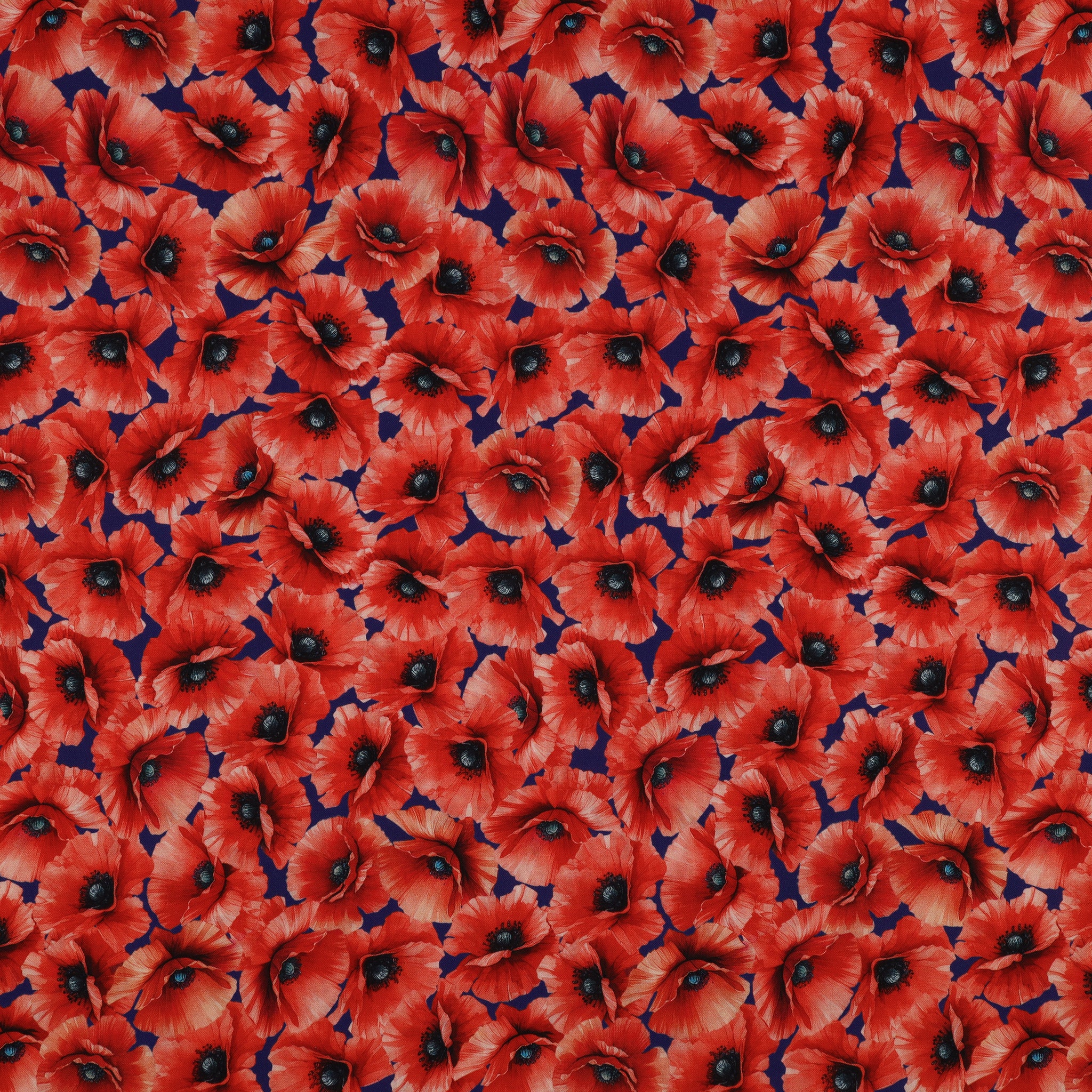 Red, White & Sweet Fabric Collection - Poppy Celebration Red