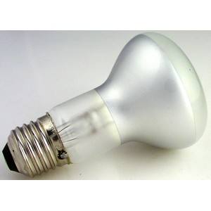Bulb 120V, 30W  #996207 image # 5618