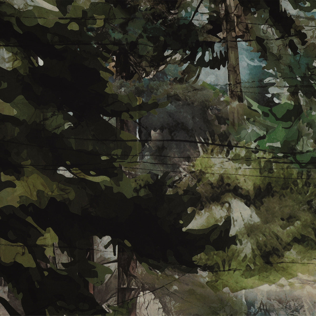 Altitude 108" Quilt Backing - Dark forest with layered green foliage, tree trunks, and watercolor details NCB29154-43