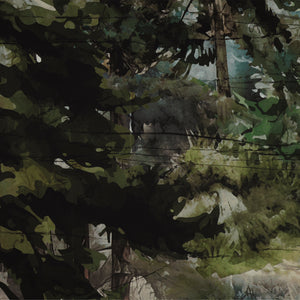 Altitude 108" Quilt Backing - Dark forest with layered green foliage, tree trunks, and watercolor details NCB29154-43