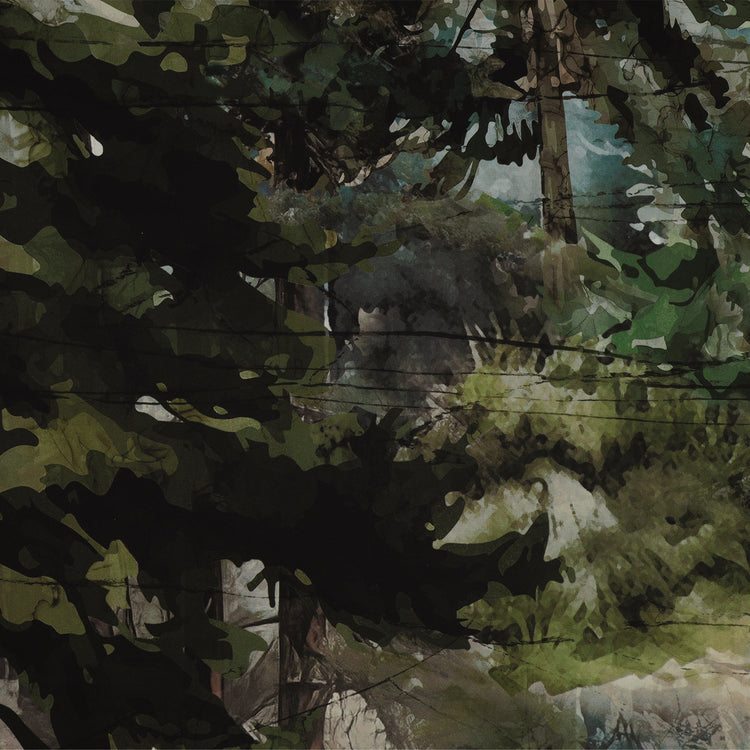 Altitude 108" Quilt Backing - Dark forest with layered green foliage, tree trunks, and watercolor details NCB29154-43