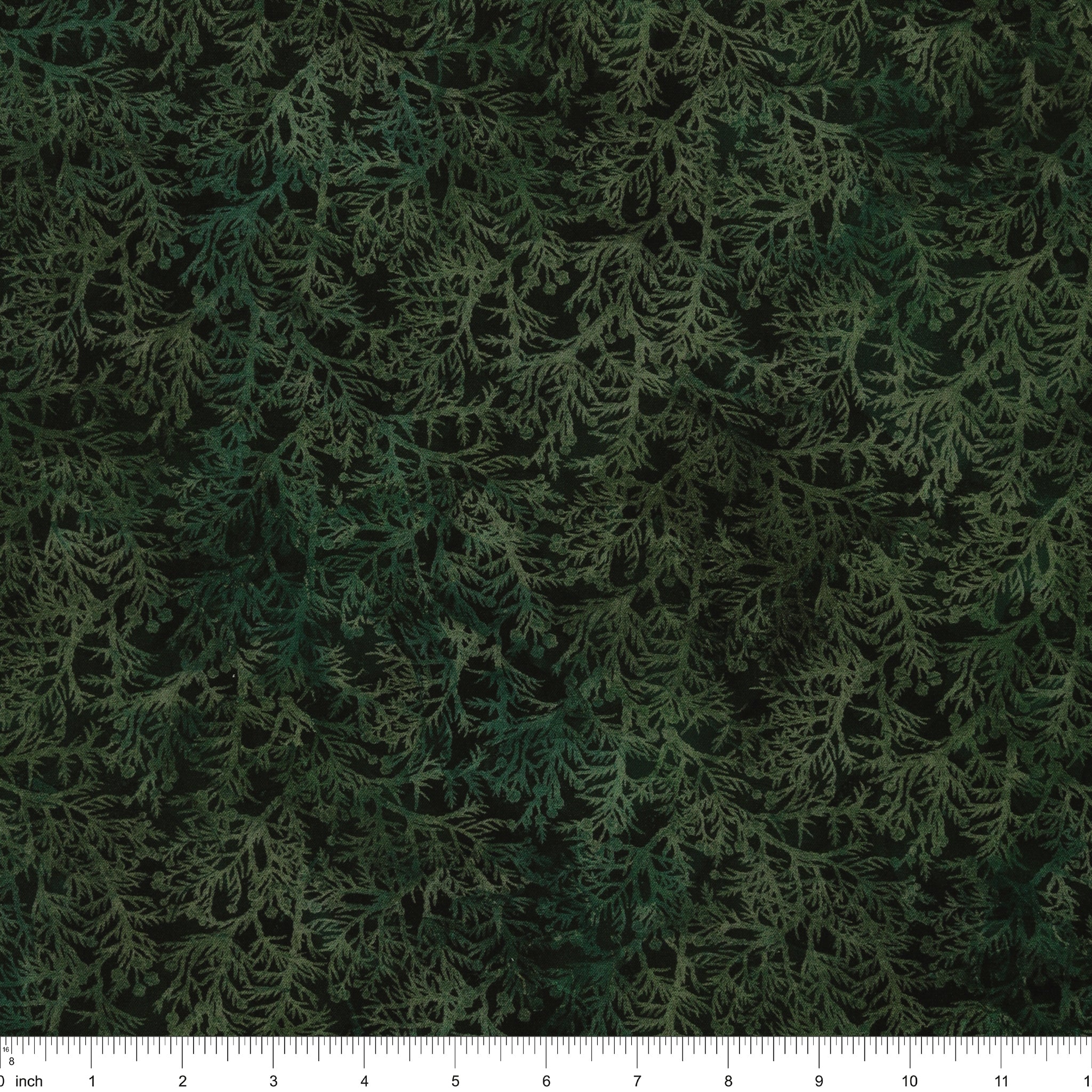 Altitude Fabric Collection - Cedar Sprigs: NCDP-29159-79 with ruler for scale