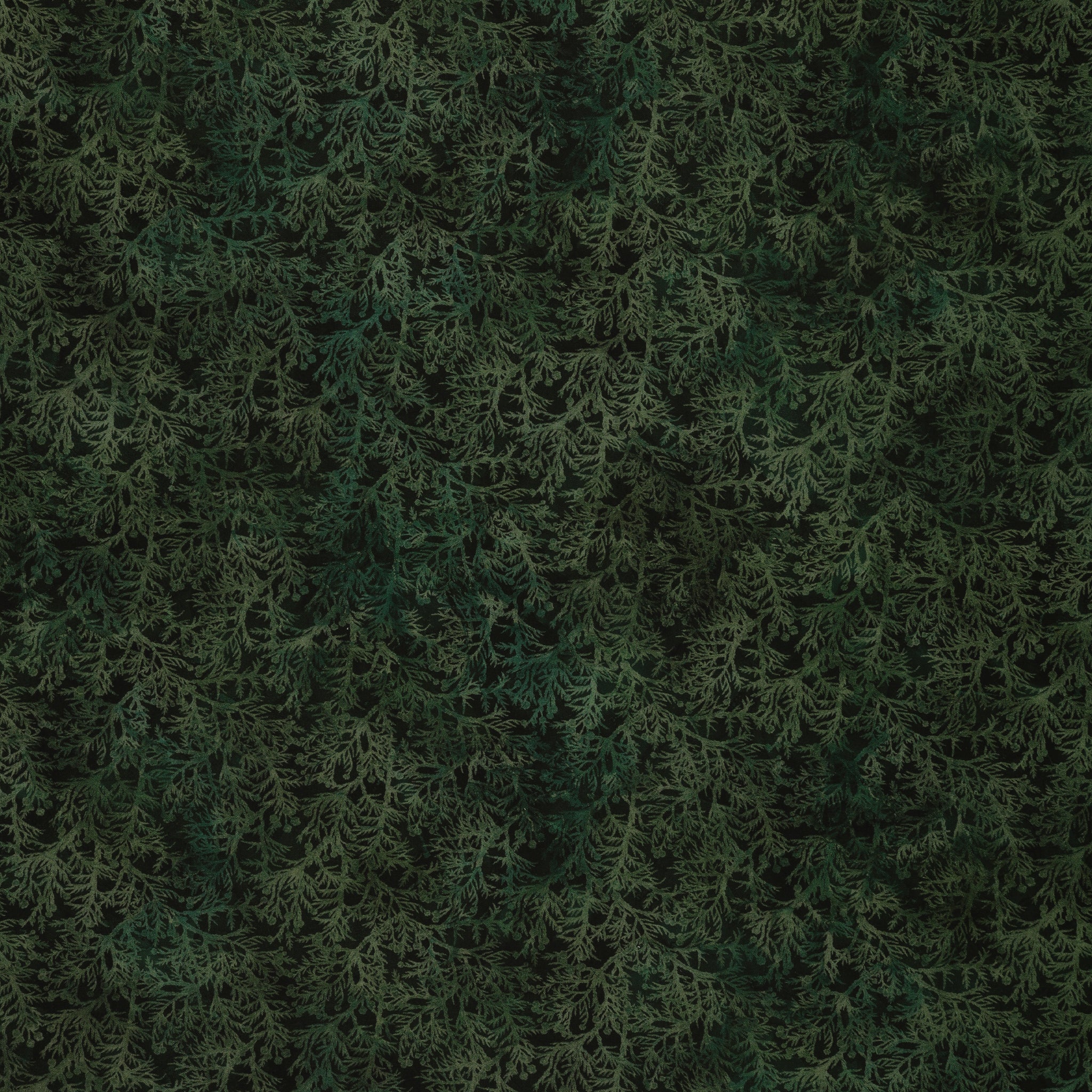 Altitude Fabric Collection - Cedar Sprigs: Dark green dense layered evergreen branches NCDP-29159-79
