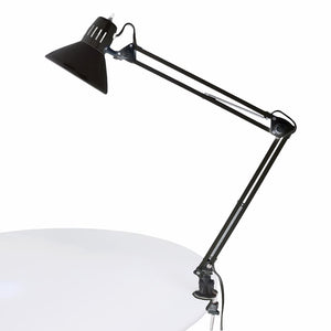 Light Swing Arm image # 101298