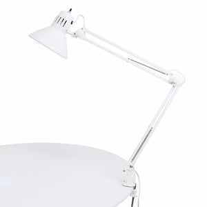 Light Swing Arm image # 101294