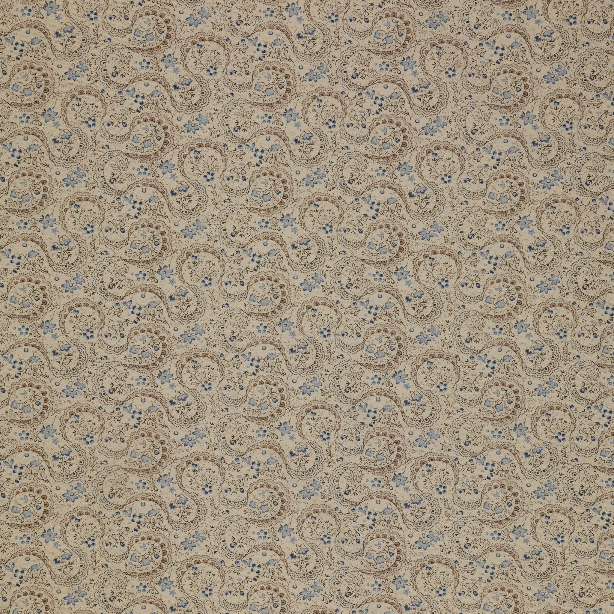 Isabella Fabric Collection - Swirling Lace Cream: Cream with intricate lace motifs and delicate floral details in blue florals and brown outlines PBISAB06409NE