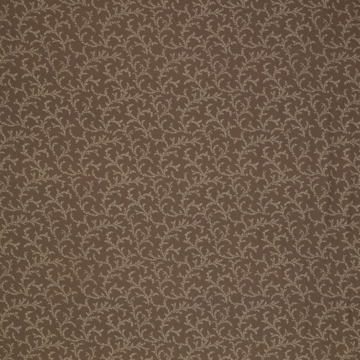 Isabella Fabric Collection - Vines Brown: Brown with delicate cream leafy vines in a graceful allover repeating pattern PBISAB06411Z