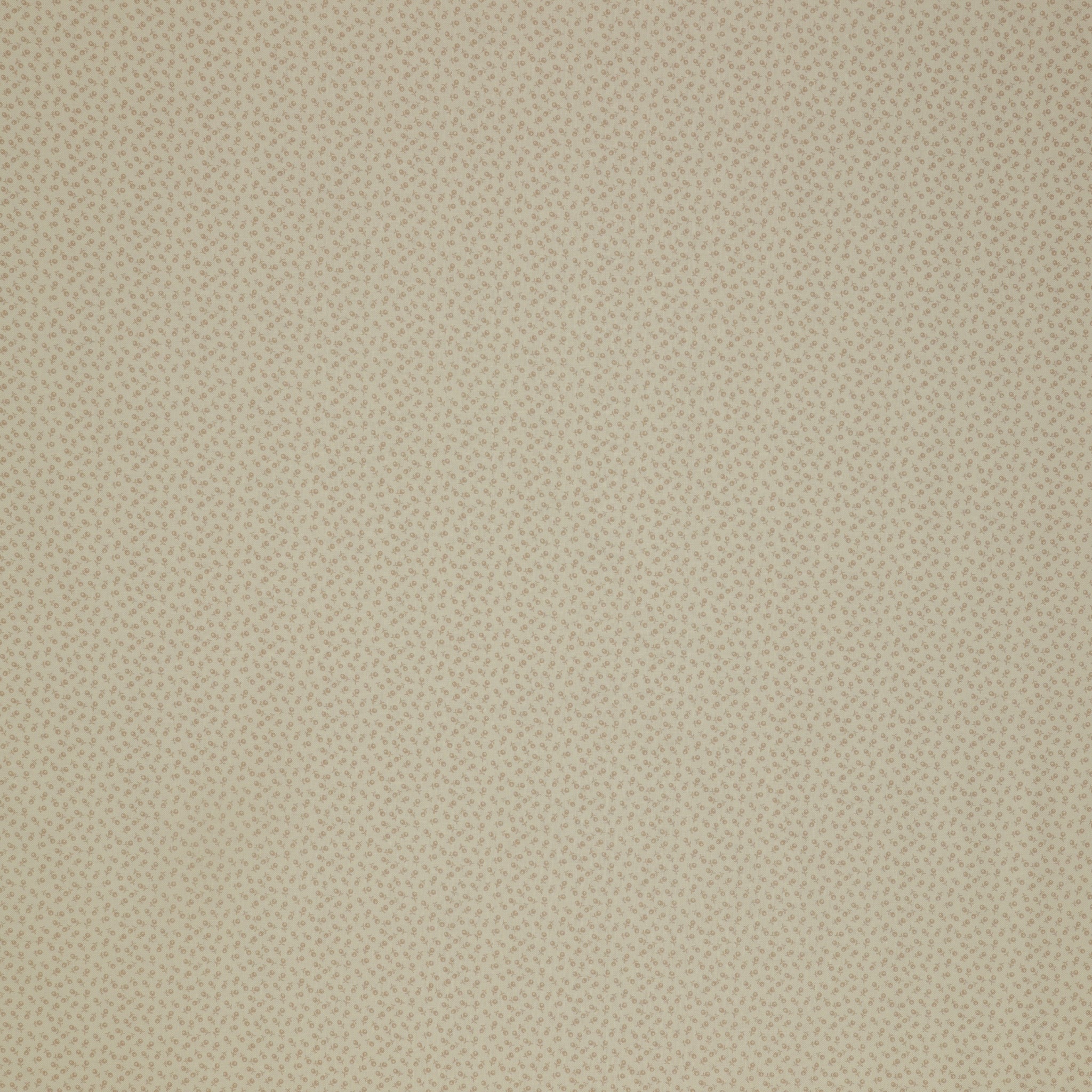 Isabella Fabric Collection - Ditzy Buds Cream: Cream with tiny floral buds in a small-scale repeating pattern PBISAB06414E