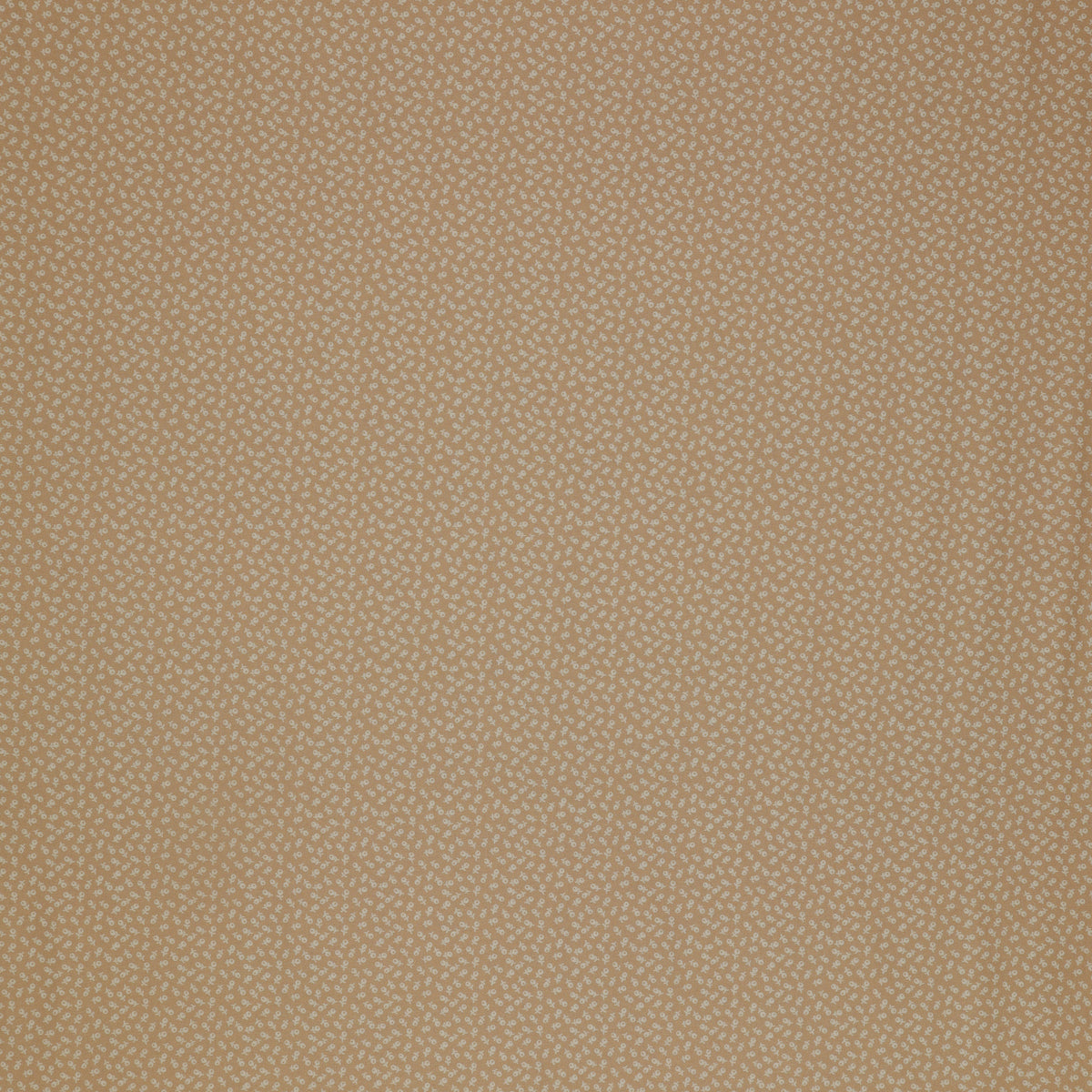 Isabella Fabric Collection - Ditzy Buds Tan: Tan with tiny cream floral buds in a small-scale repeating pattern PBISAB06414NE