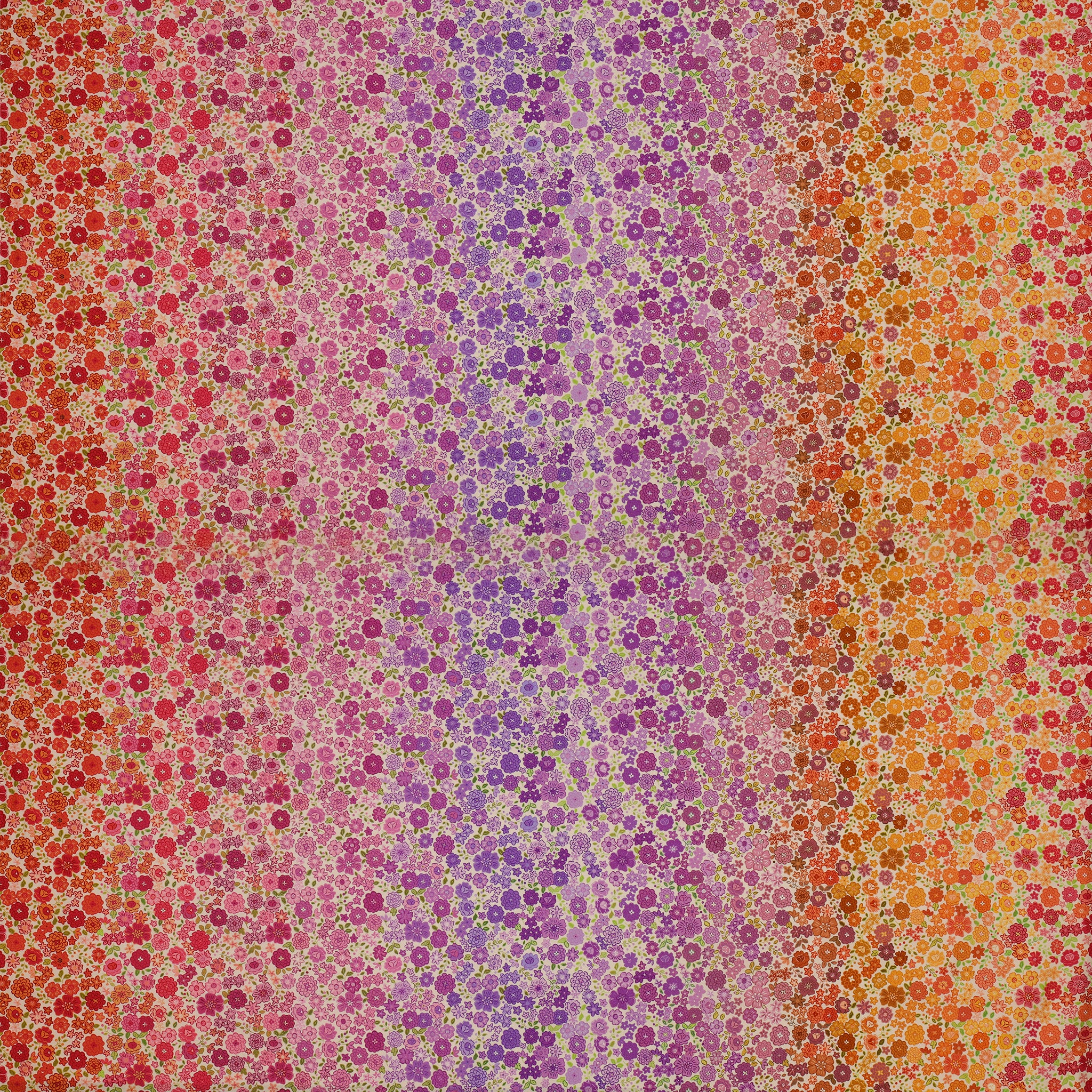 Berry Boho Blooms Ombre fabric with floral colors transitioning from pink and purple to orange and red.