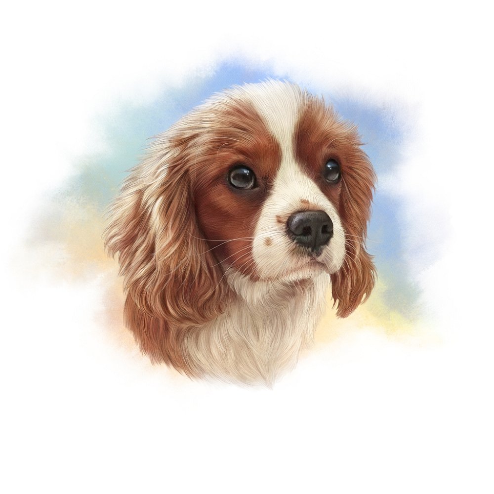 Cocker Spaniel Puppy Portrait Fabric Panel cocker-spaniel-puppy-portrait-fabric-panel