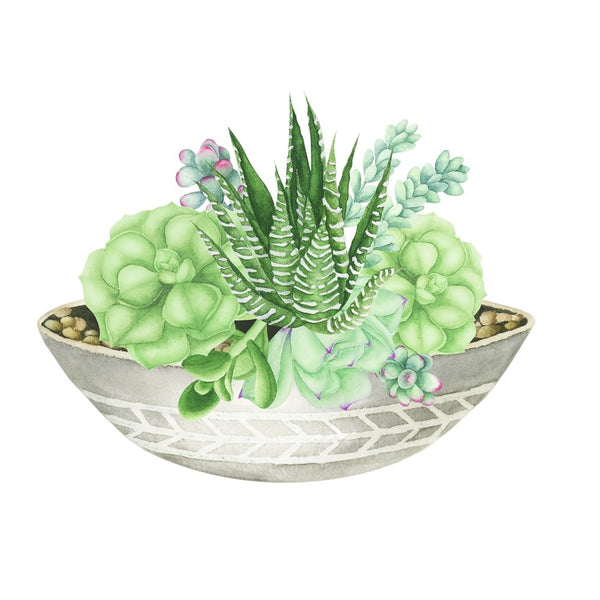 potted succulent watercolor Emerald Watercolor Succulent Fabric Panel Variation 2 9 Inches by 9 Inches
