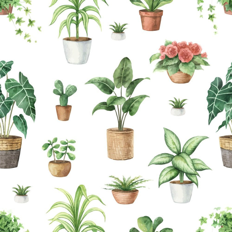 house plant fabric Indoor Green Plants Potted Plants Fabric Yard