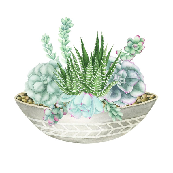 cactus succulent fabric Jade Watercolor Succulent Fabric Panel 4.5 Inches by 4.5 Inches