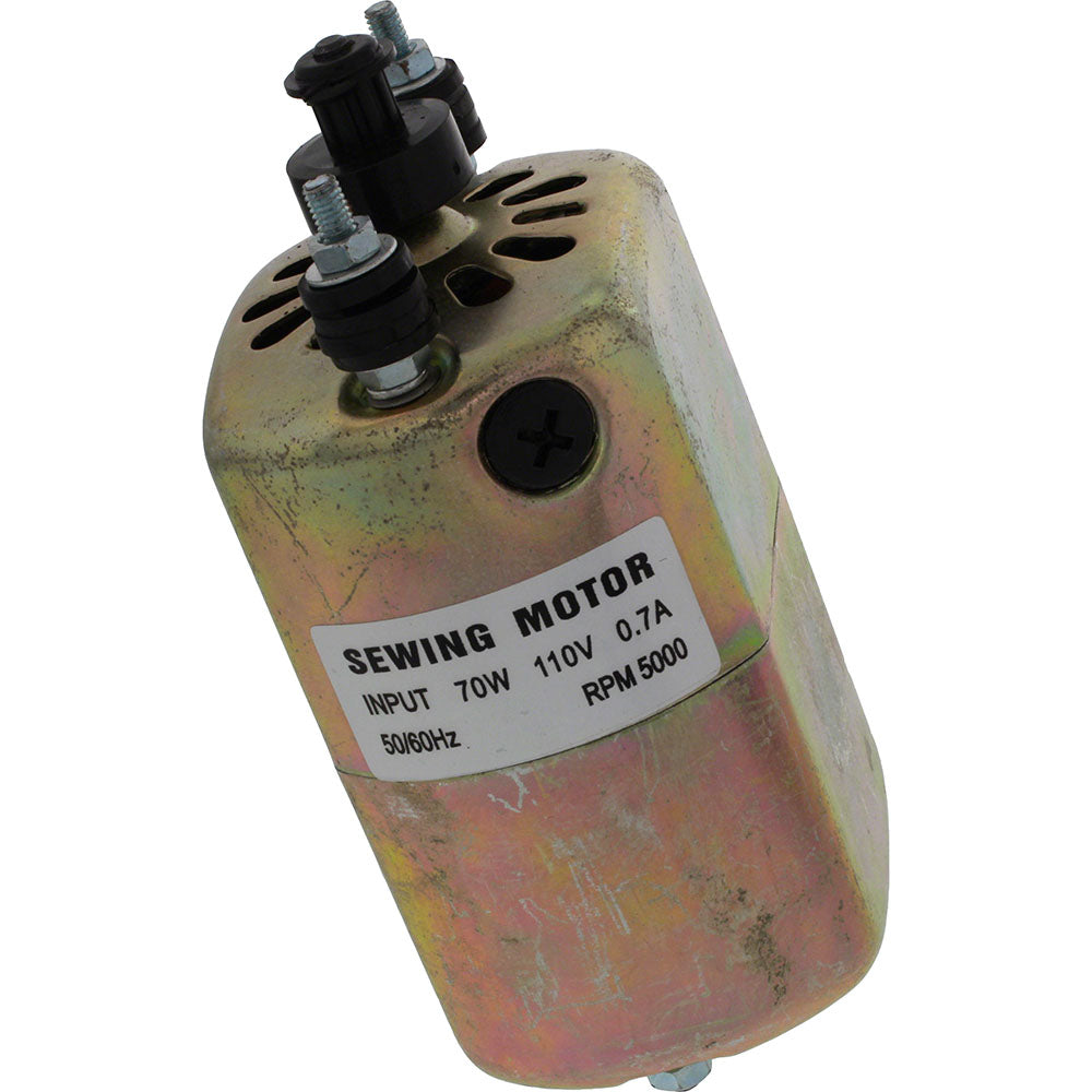 Motor w/o Bracket #M1025, 110v image # 44845