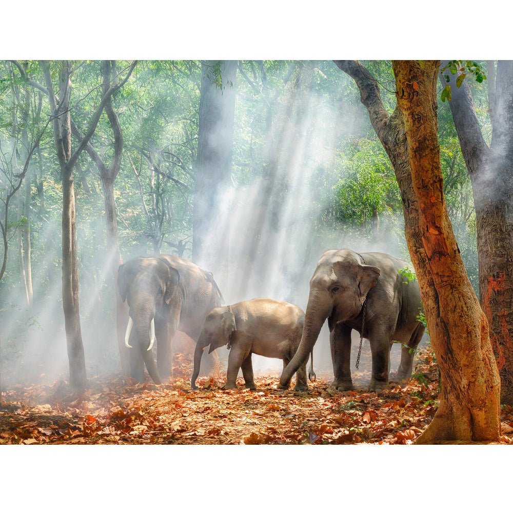 Realistic Asian Elephant Family in Forest Fabric Panel