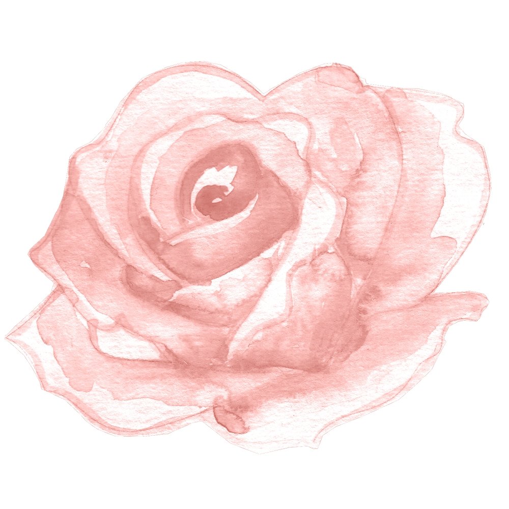 Watercolor Roses Open Watercolor Open Rose Fabric Panel - Light Pink